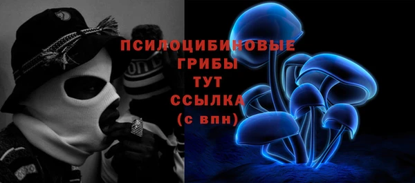 spice Арсеньев