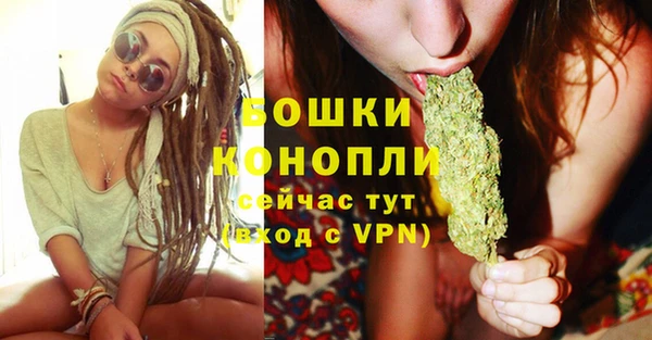 spice Арсеньев