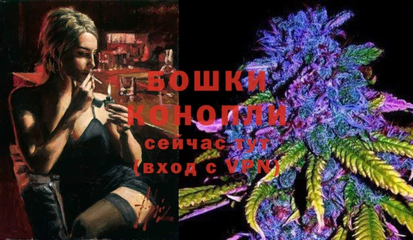 дживик Аркадак