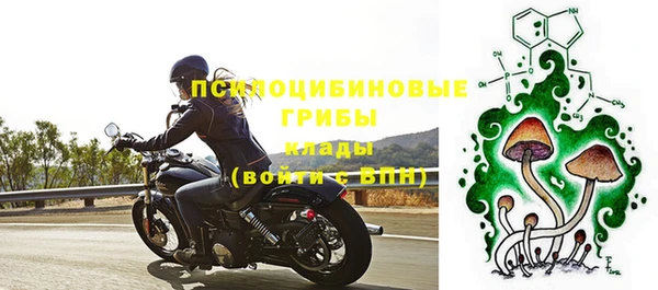 spice Арсеньев
