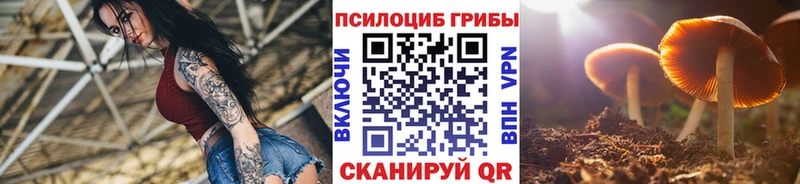 Галлюциногенные грибы Psilocybe купить наркотики сайты Ступино